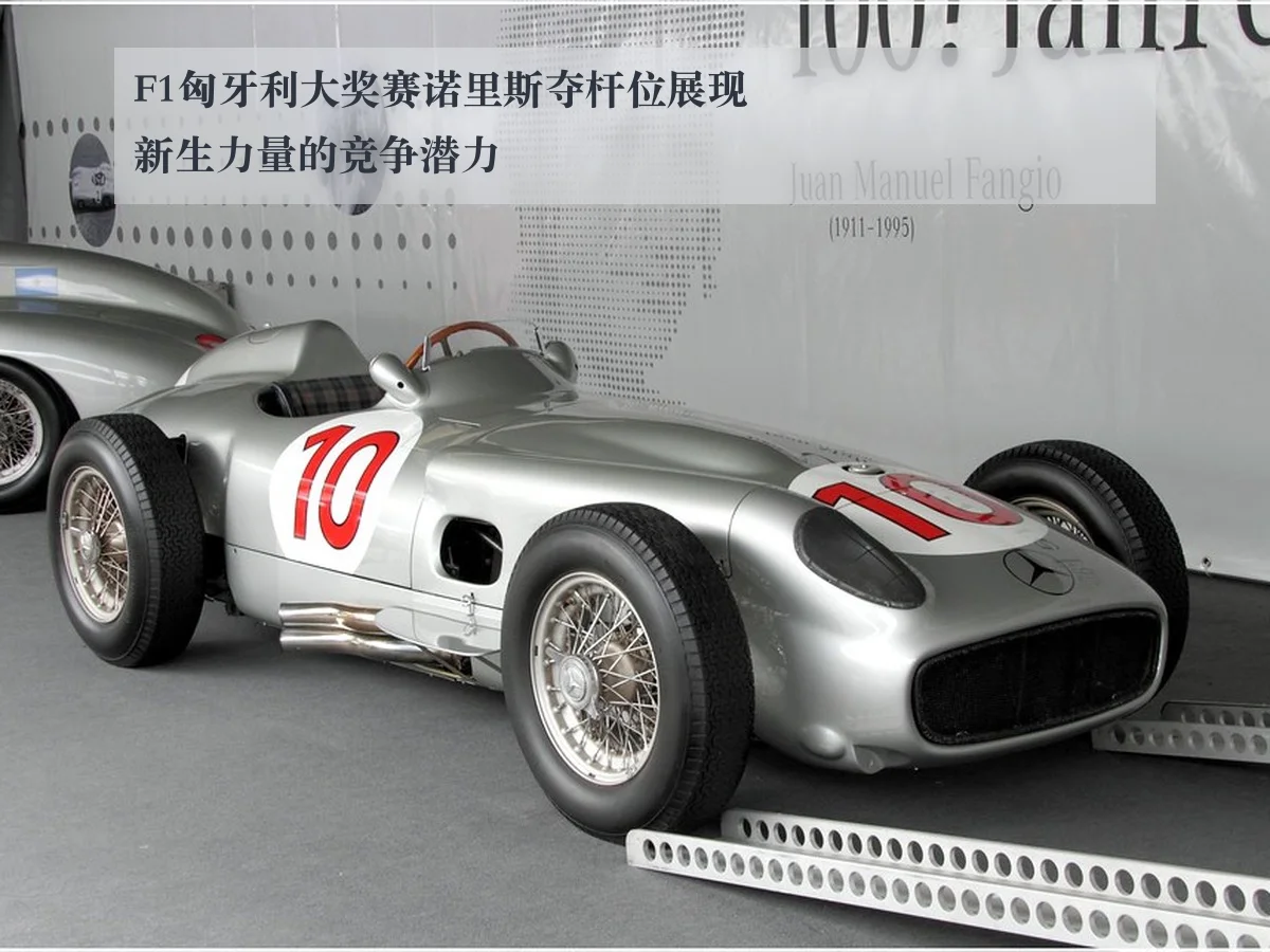 F1匈牙利大奖赛诺里斯夺杆位展现新生力量的竞争潜力（AYX）